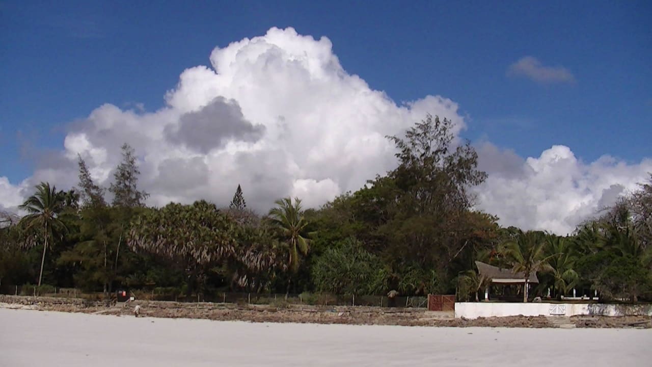 Neptune Palm Beach Strand Neptune Palm Beach Boutique Resort & Spa