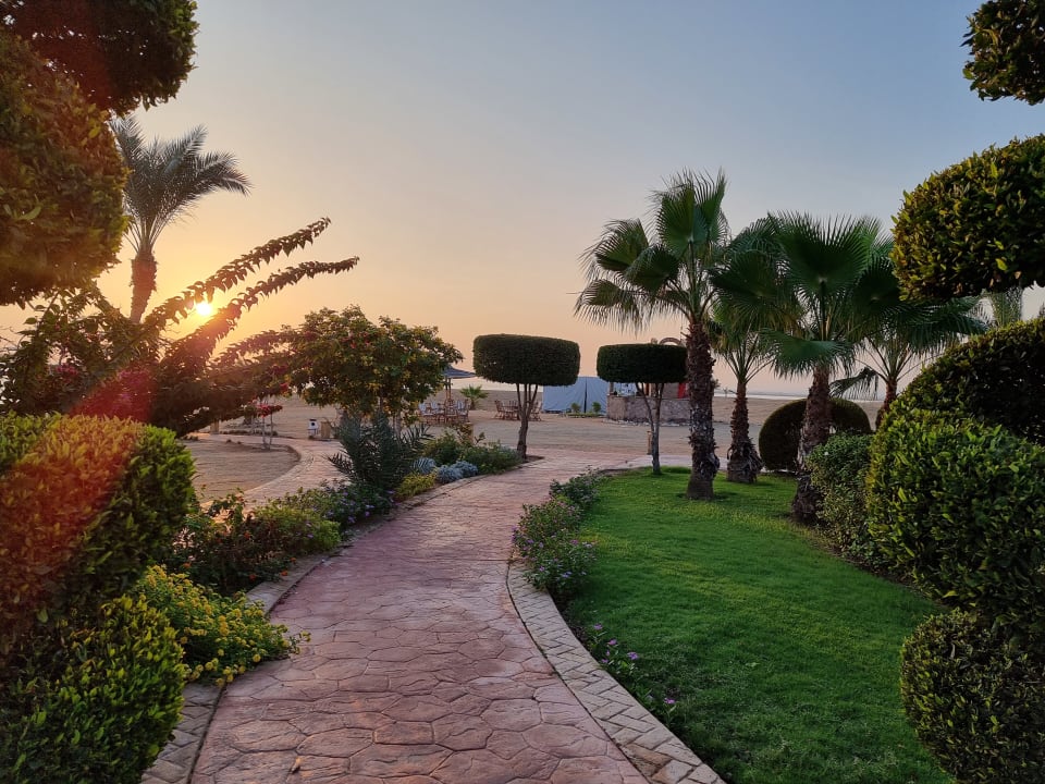 Gartenanlage Wadi Lahmy Azur Resort