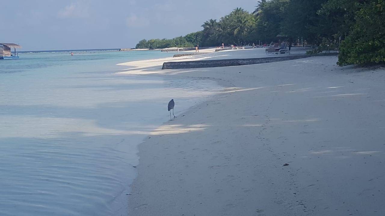 Strand Adaaran Select Hudhuran Fushi - Premium All Inclusive