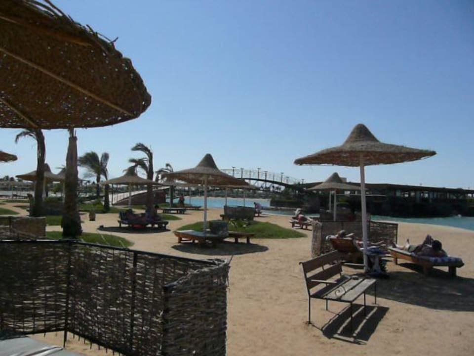 Plaża -piękna Desert Rose