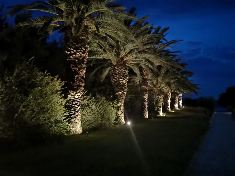 Gartenanlage Caravia Beach Hotel
