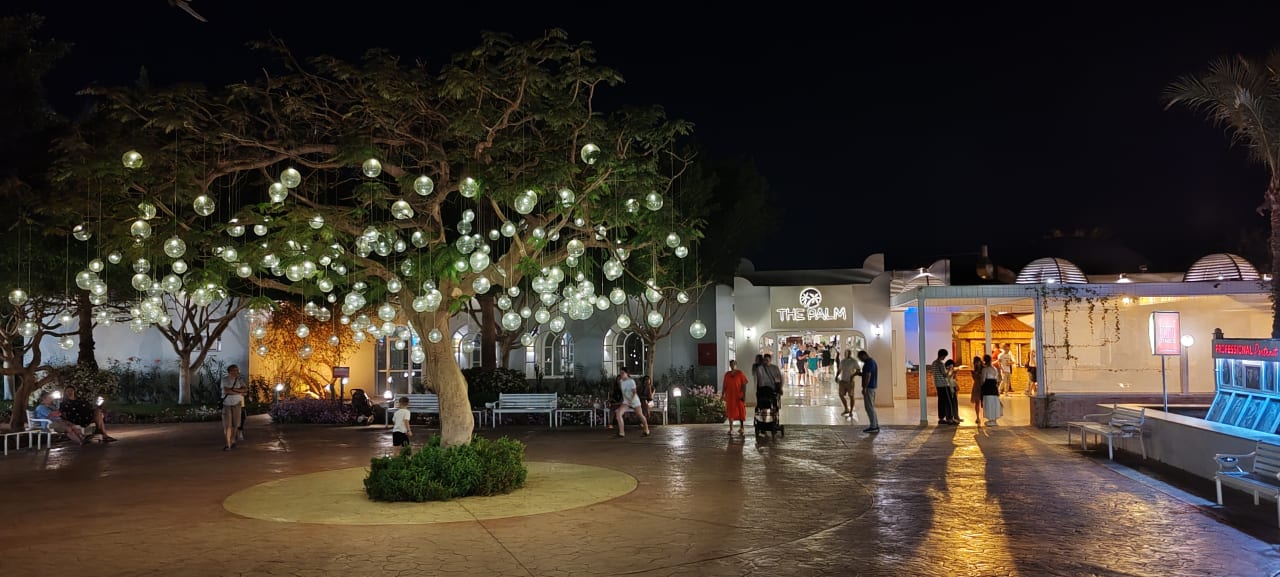 Gartenanlage Desert Rose