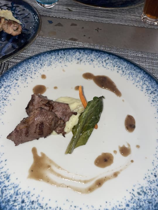 Gastro PALOMA Perissia