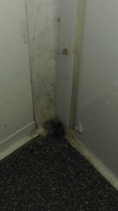 Badezimmer  Center Parcs Park De Haan