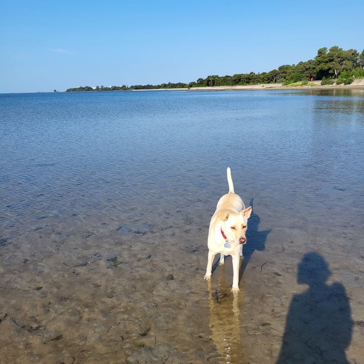 Strand Villaggio Residence Punta Spin