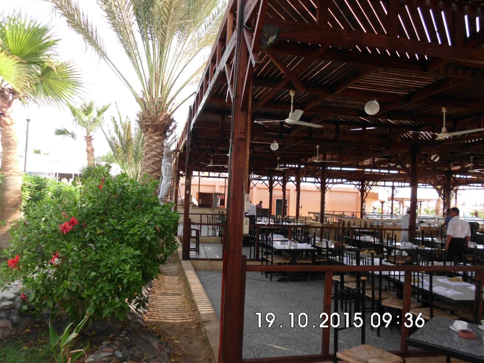 Holzbehandlung ohne Tische und Besteck abzudecken Giftun Azur Resort