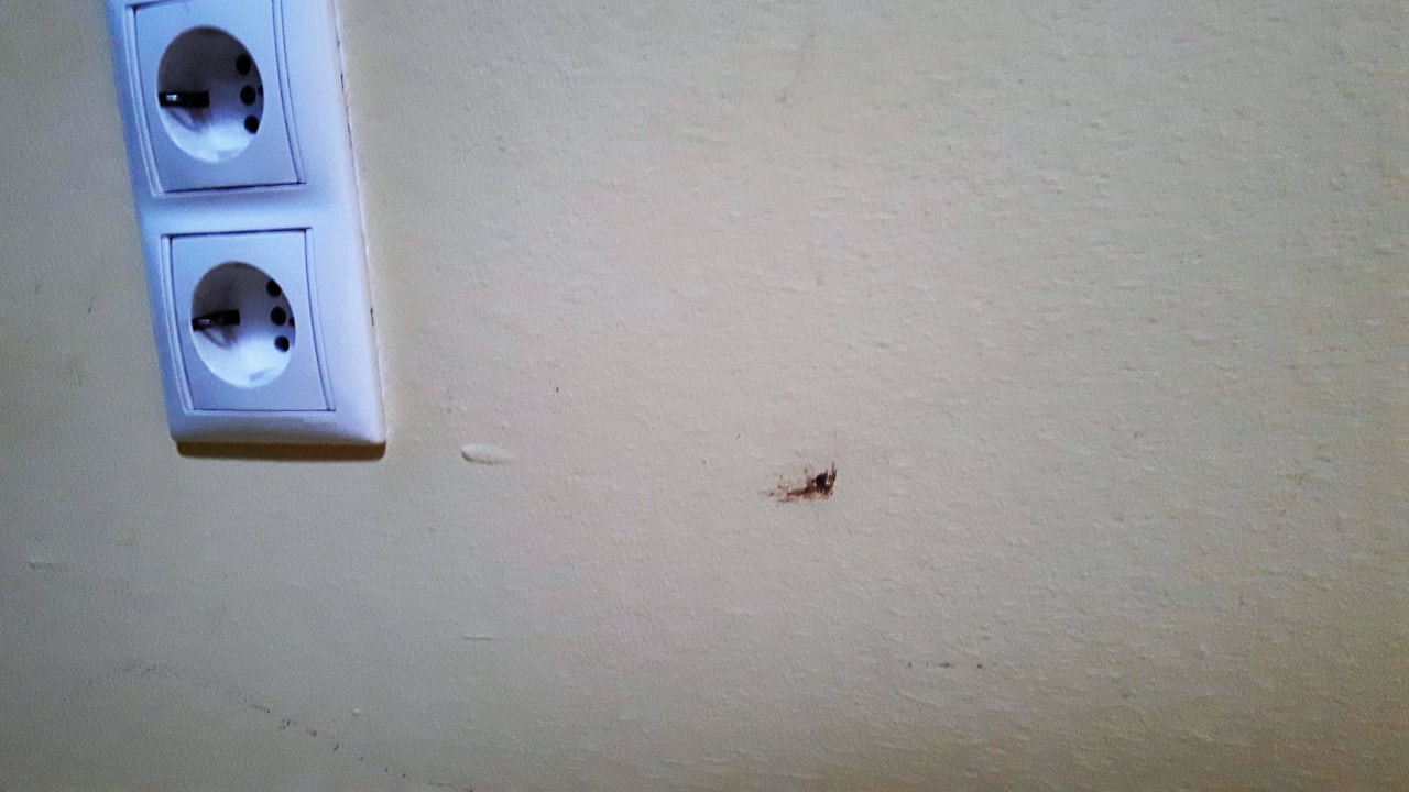 Breitgeklopfte Fliegen Club MenDan Aparthotel