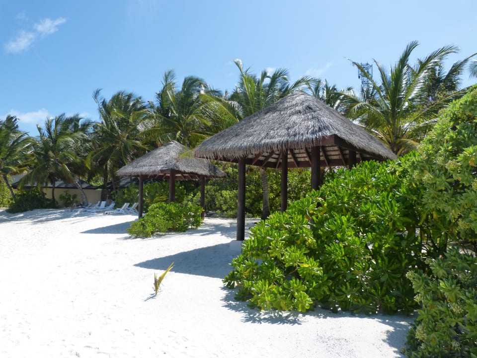 Strand Summer Island Maldives