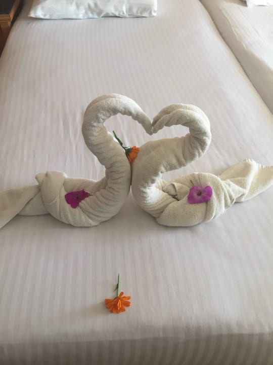 Bettdeko  Beach Albatros Resort