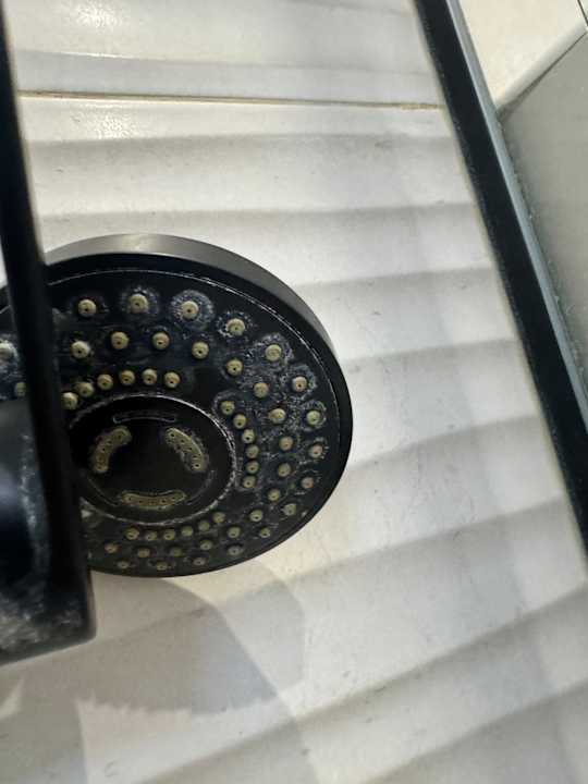 Zimmer Apartments la Nogalera