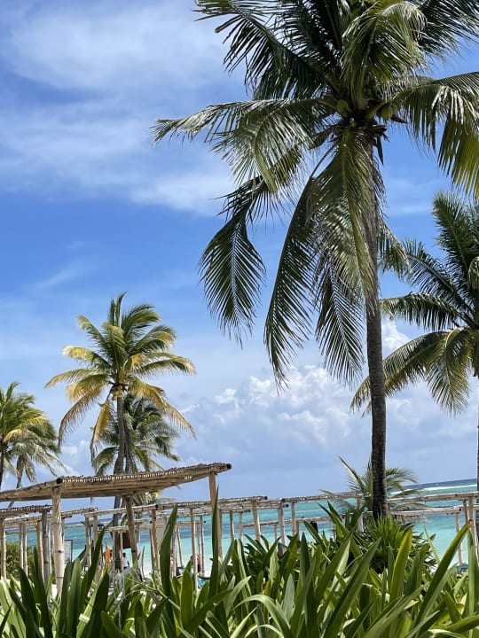 Gartenanlage Akumal Bay Beach & Wellness Resort