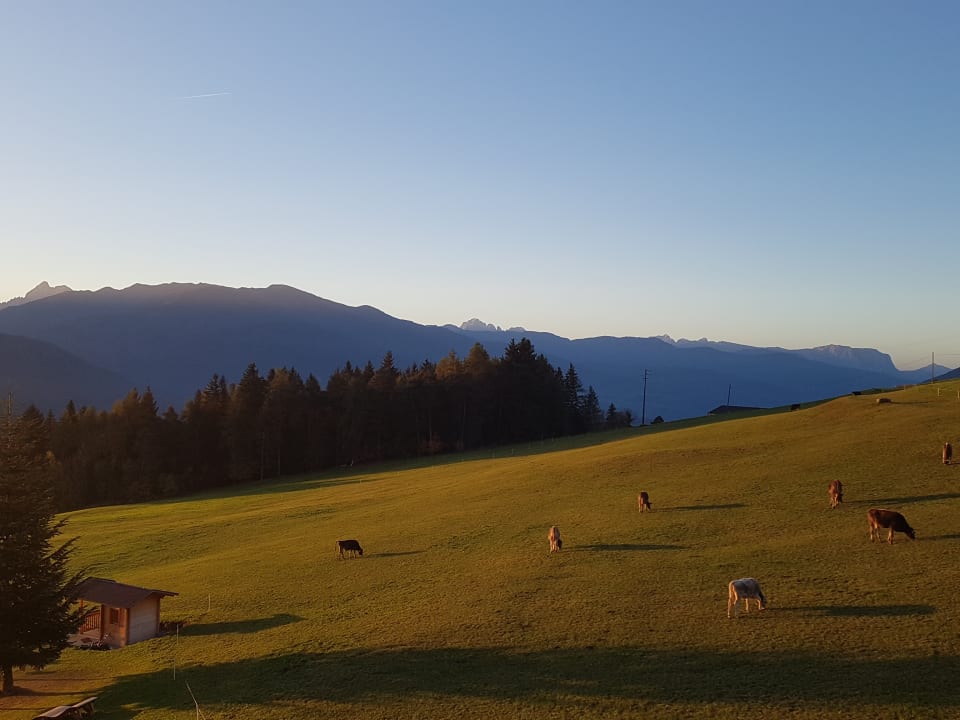 Ausblick Hotel Edelweiss