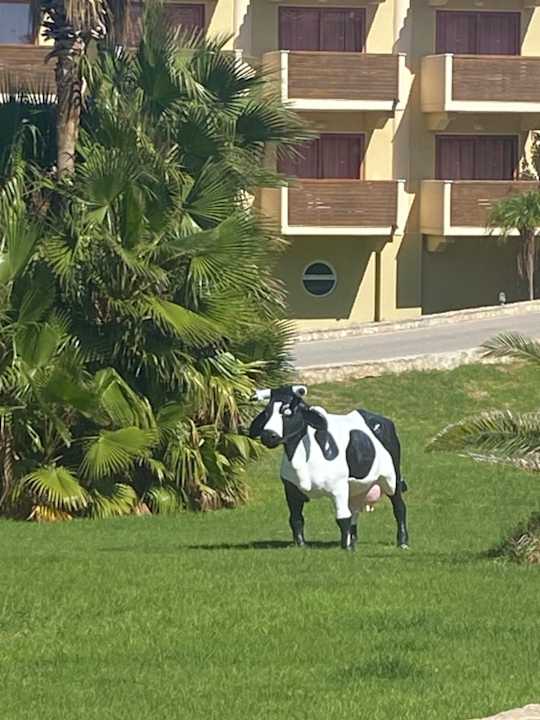 Außenansicht Hotel Kalithea Horizon Royal