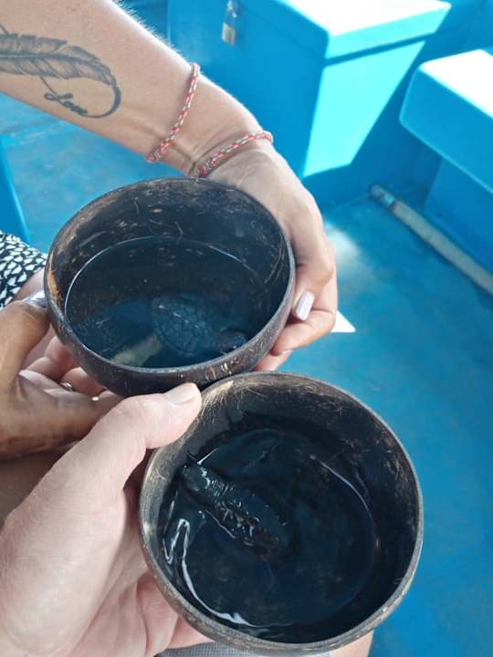 Sonstiges Sanur Resort Watujimbar