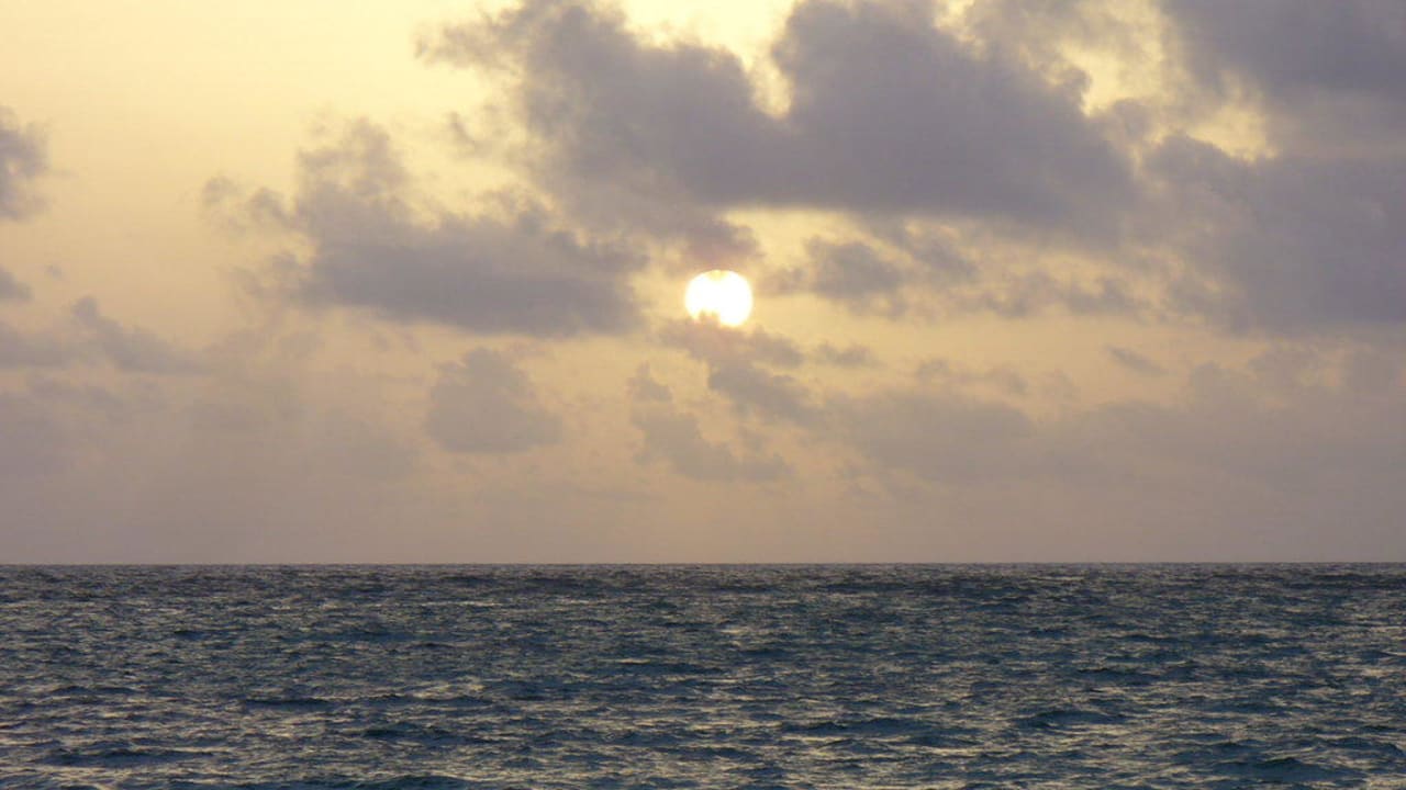 Sonnenaufgang Grand Palladium Punta Cana Resort & Spa