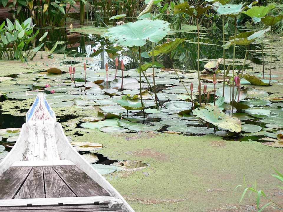Ausblick von der Loungebar Angkor Village Resort