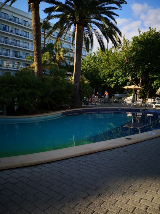Pool Hotel Riu Bravo