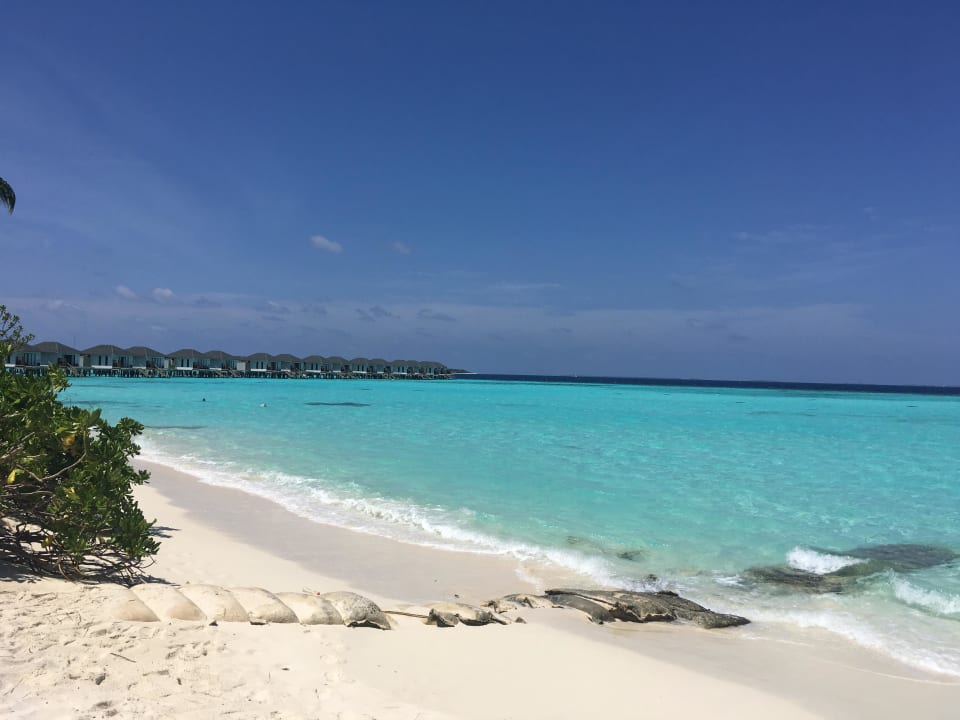 Beach NH Collection Maldives Havodda Resort