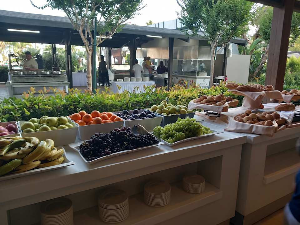 Gastro Adalya Elite Lara