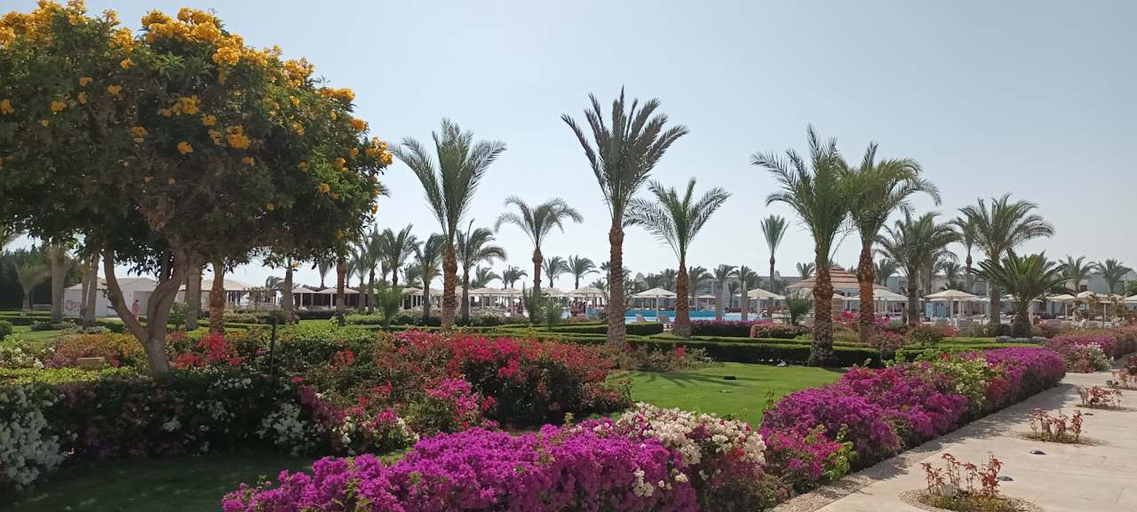 Gartenanlage Sirena Beach Resort & Spa