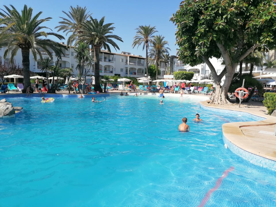 Pool Alcudia Garden Aparthotel