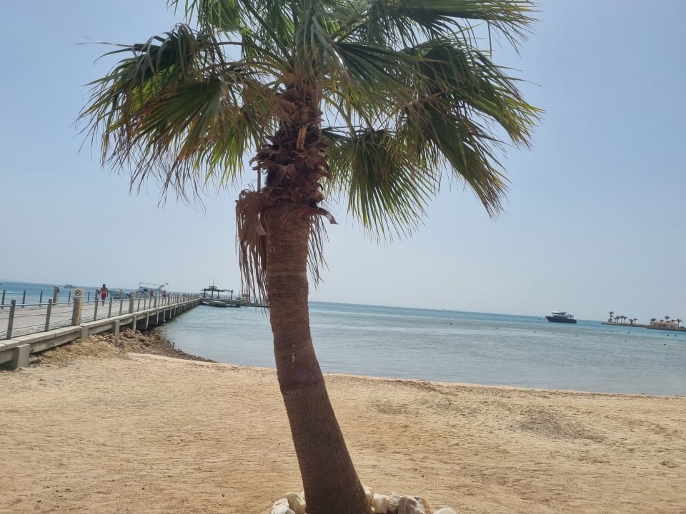 Strand Steigenberger ALDAU Beach Hotel