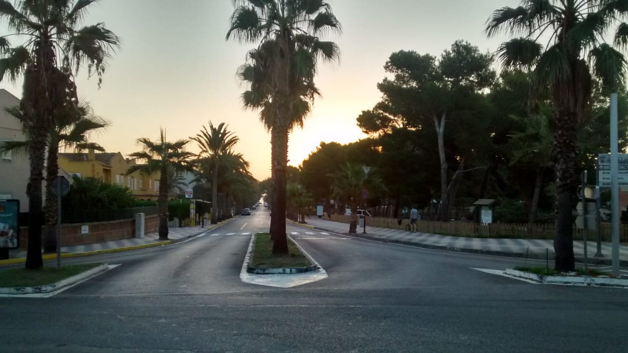 Ausblick zur Strasse Es Bauló Petit Hotel
