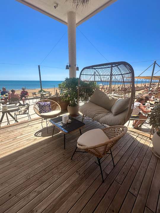 Strand Seashell Vega