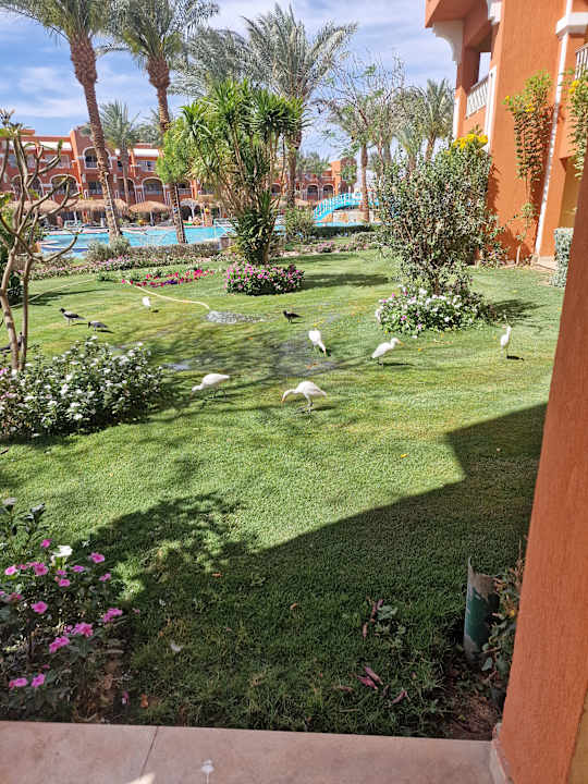 Gartenanlage Sentido Caribbean World Soma Bay