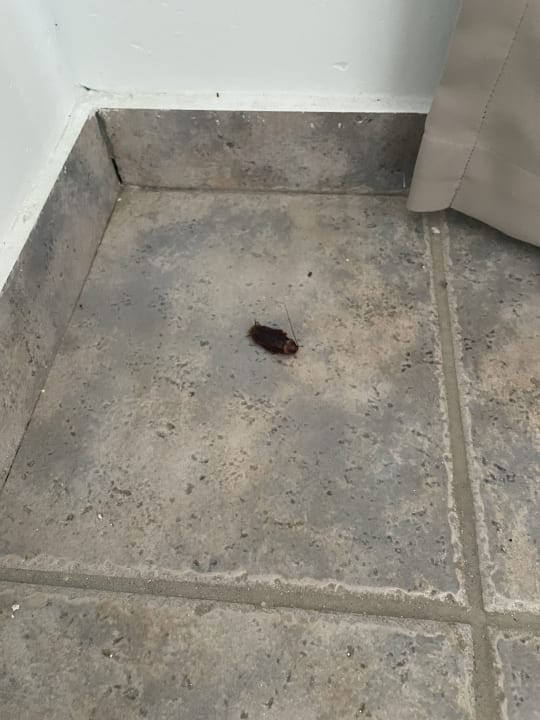 Zimmer Lindos Princess Beach Resort & Spa