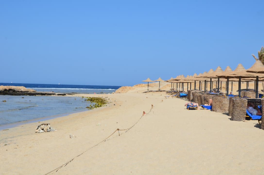 Leżaki i granica rafy Malikia Resort Abu Dabbab