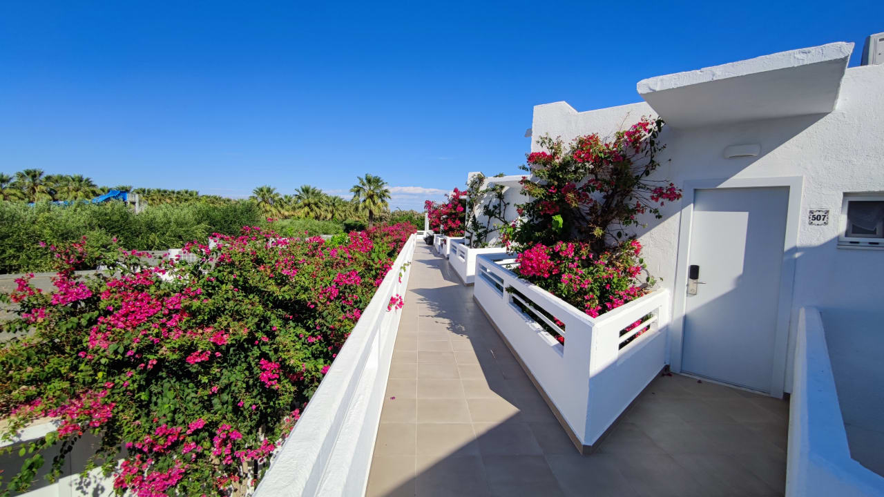 Ausblick TUI KIDS CLUB Alex Beach