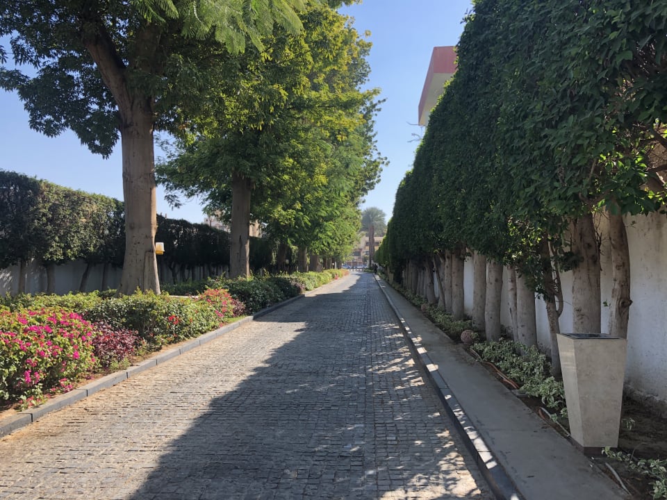 Gartenanlage Hilton Luxor Resort & Spa