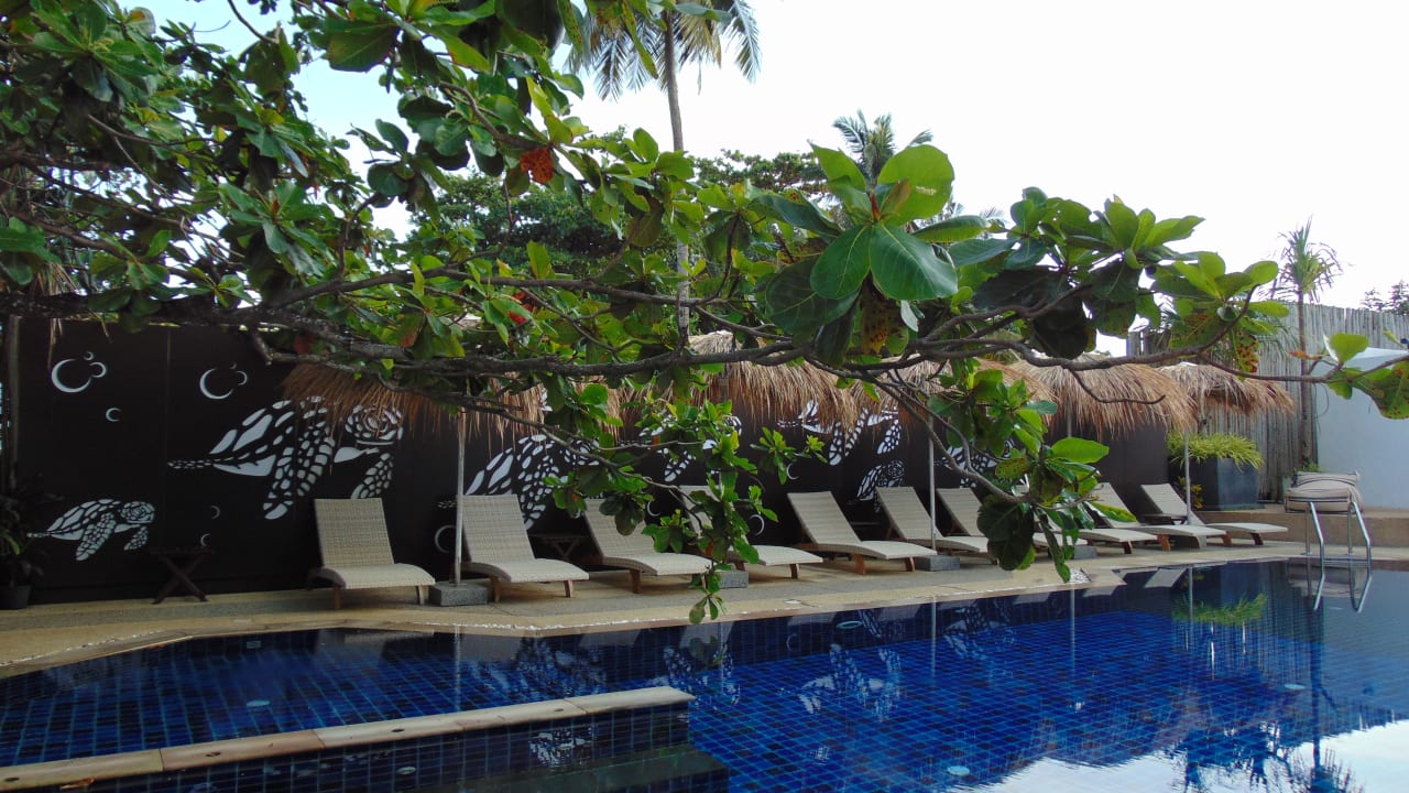 Pool Ocean Breeze Resort