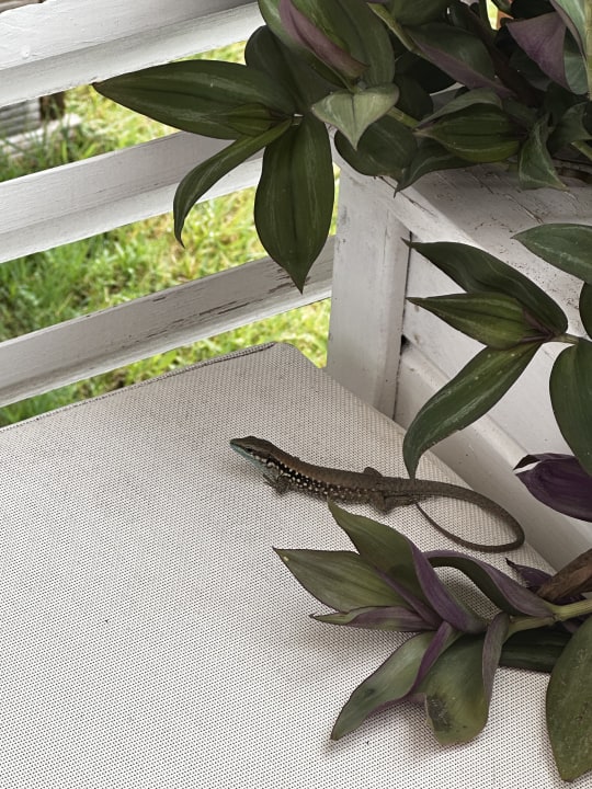 Sonstiges Rixos Premium Tekirova