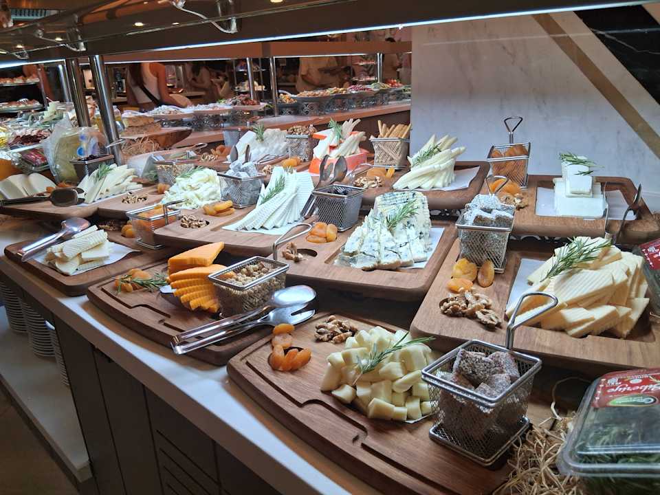 Gastro Maxeria Blue Didyma