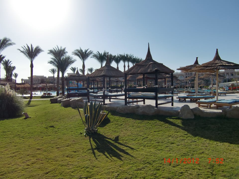 Pool Beach Albatros Resort