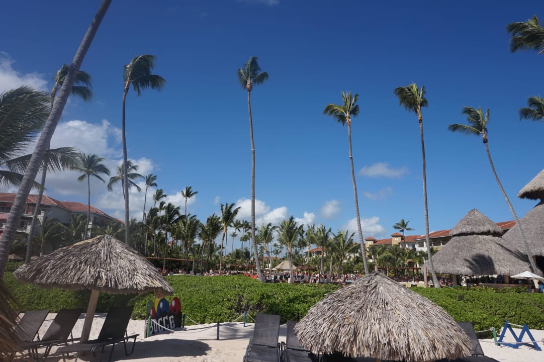 Aussicht in Richtung Pool  Dreams Royal Beach Punta Cana
