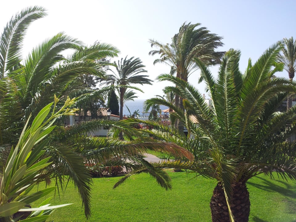 Gartenanlage mit Ausblick aufs Meer TUI MAGIC LIFE Fuerteventura