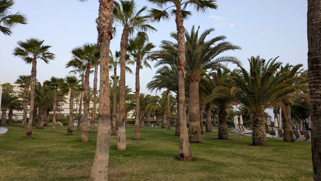 Gartenanlage Hotel Riu Palace Tenerife