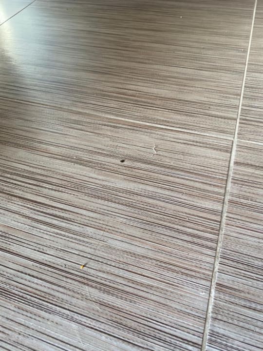 Zimmer Virginia Family Resort