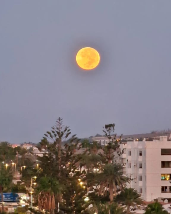 Ausblick Hotel Riu Palace Palmeras