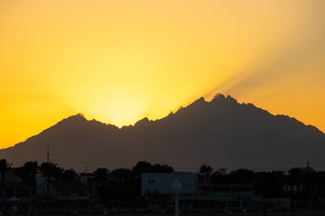 Ausblick Desert Rose
