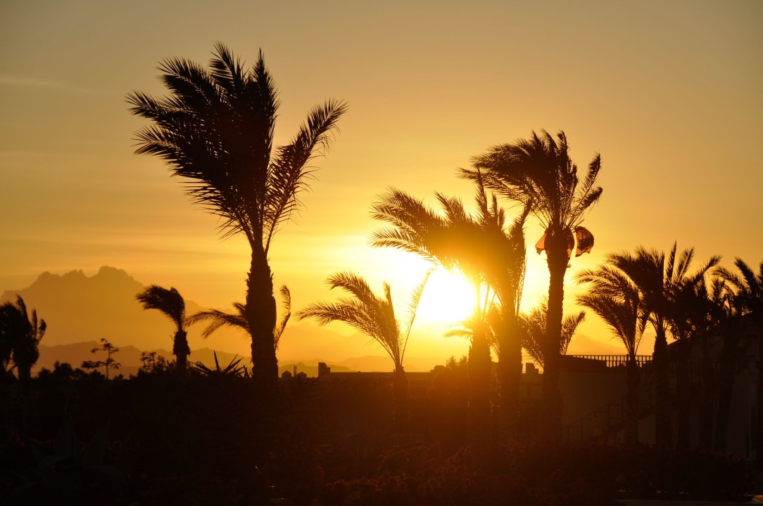 Sonnenuntergang ROBINSON SOMA BAY