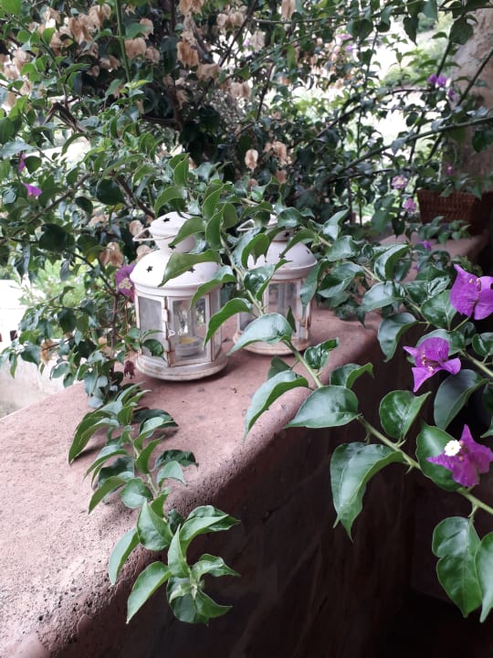 Gartenanlage Residence Porto Corallo