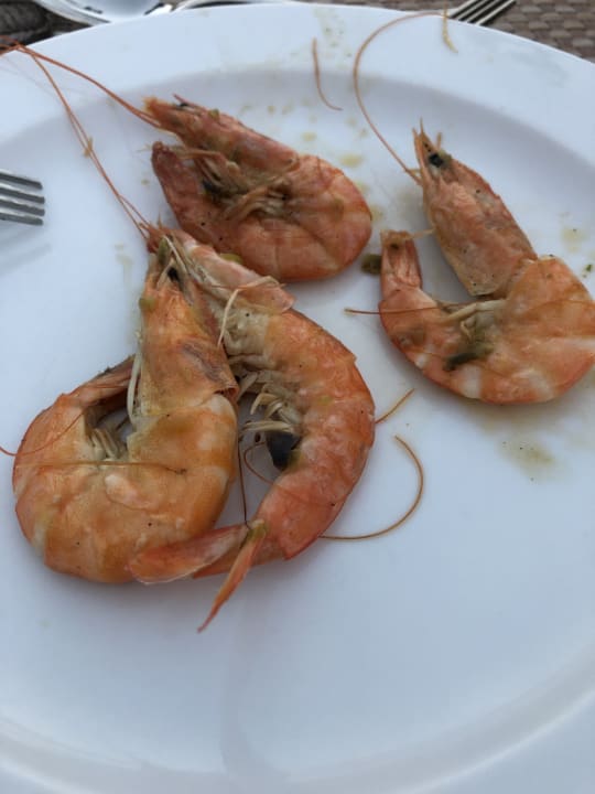 Gastro Pickalbatros White Beach Resort - Hurghada