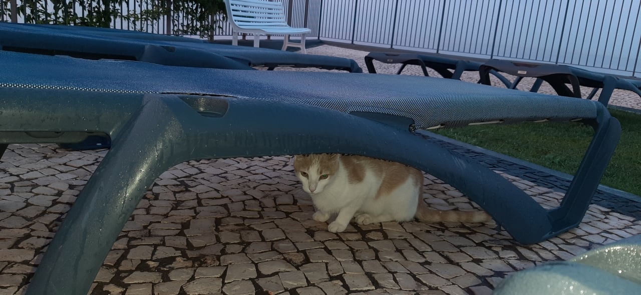 Pool Hotel Golden Residence