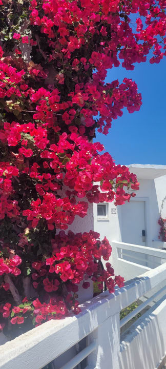 Zimmer TUI KIDS CLUB Alex Beach