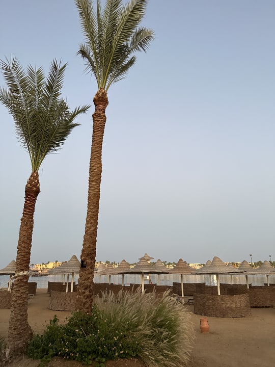 Strand Steigenberger Coraya Beach - Adults only