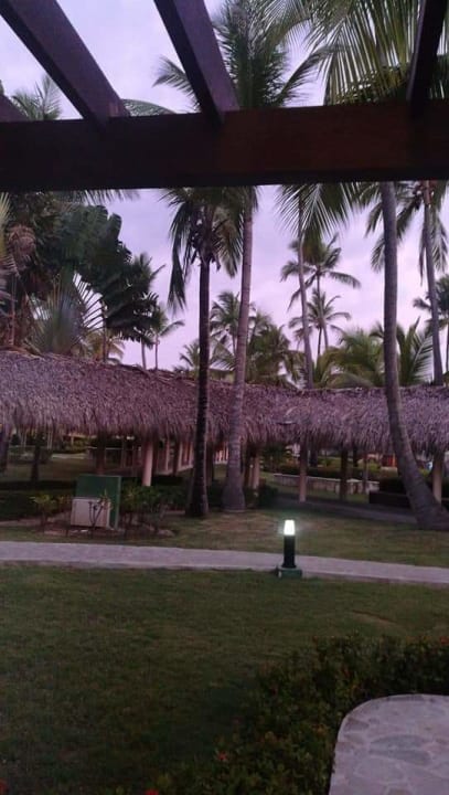 Gartenanlage Hotel Grand Palladium Palace Resort, Spa & Casino